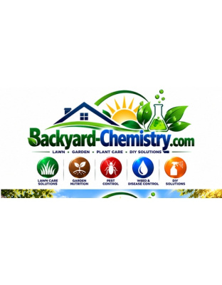 backyard-chemistry.com
