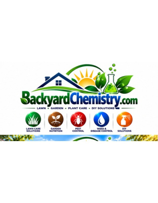 backyardchemistry.com