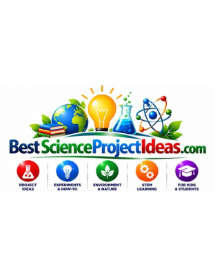 bestscienceprojectideas.com
