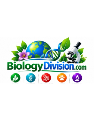 biologydivision.com